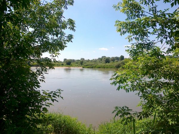 Pocztówka  z Brzostkowa nad Wisłą  .