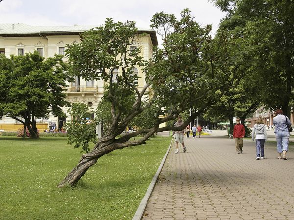 Stary Dom Zdrojowy-Krynica Zdrój
