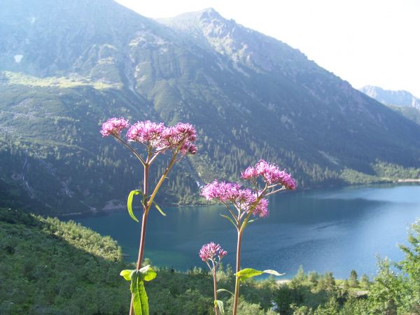 Morskie Oko.