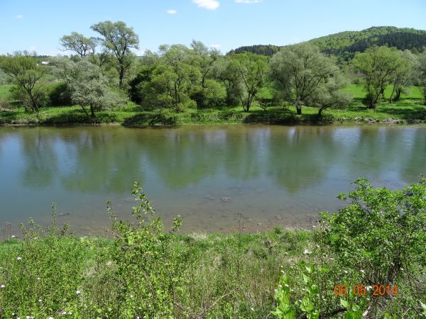 na wzniesieniach Las Selpy, a za Sanem był kamieniołom, w powiązaniu z jego działalnością za okupacji niemieckiej powstało w Trepczy getto - obóz pracy firmy "K