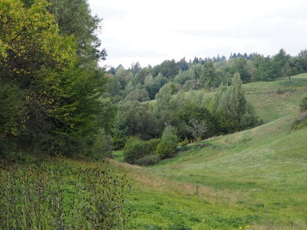 niezwykle czyste okolice, atrakcyjne krajobrazowo, rzeźba terenu zachwyca i zachęca do wędrówek.