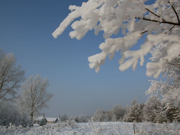 zdjecie Tyniewicze Duże