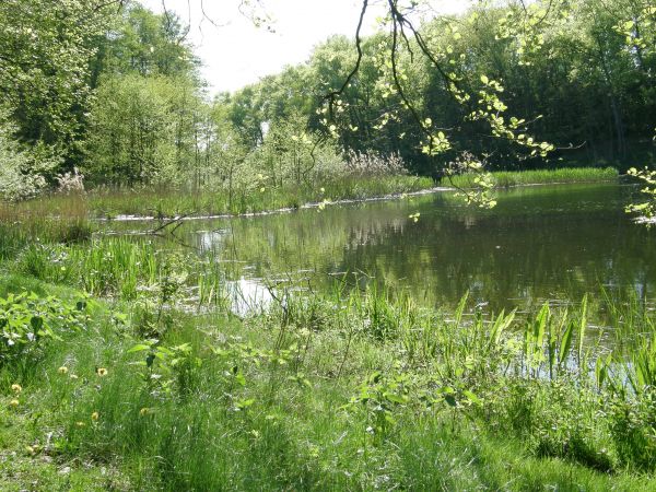 Maj na Kanałem Warta-Gopło