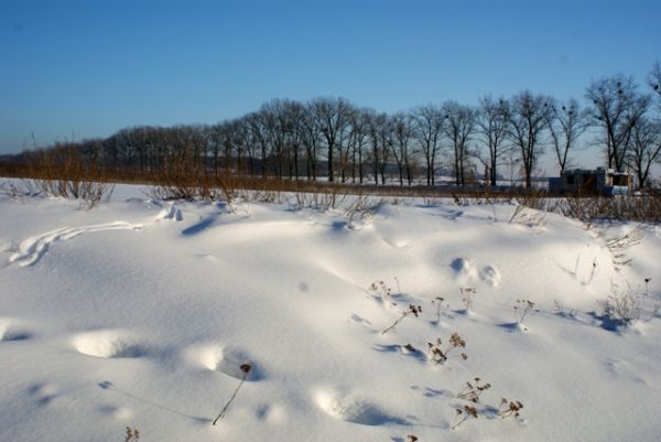 Grabowska droga  2010r