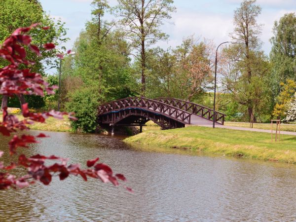 Stawy Oleśnickie w majowej scenerii