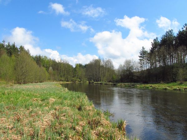 Nad rzeką Wdą w Czarnej Wodzie. Niewidoczne wzniesienie po lewej stronie, posiada najwyższą rzędną wysokości w mieście.