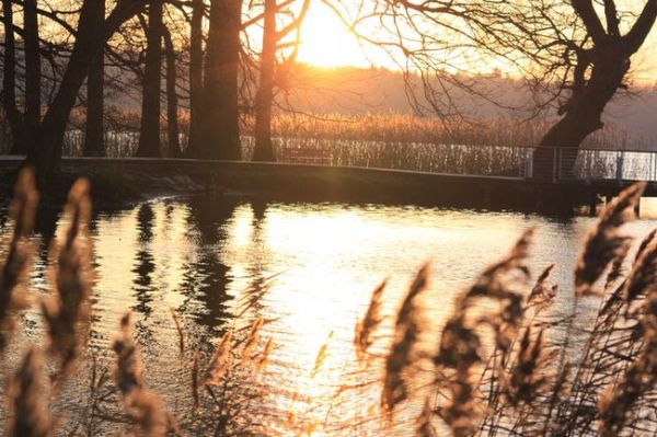 Półwysep Tajwan (j. Trzesiecko / Szczecinek) w blasku zachodzącego słońca