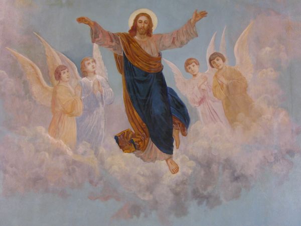 polichromia sufitowa - scena Wniebowzięcia w adoracji aniołów.