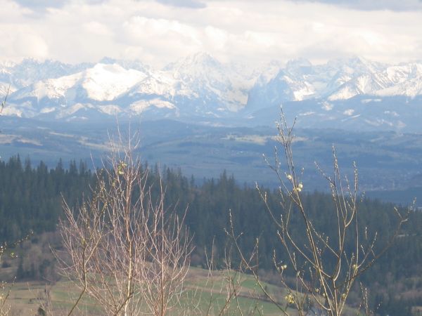 Tatry widziane z niebieskiego szlaku
