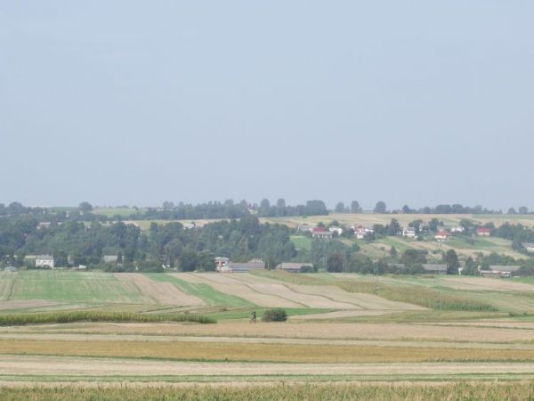 zdjecie Małochwiej Mały