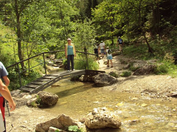w Rezerwacie Przyrody "Wąwóz Homole" - na mostku - wiele ich nad potokiem Kamionka, urokliwe przełomy...