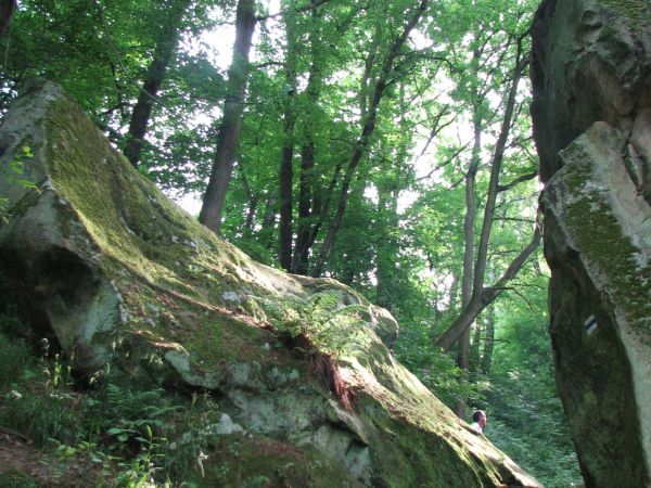 zdjecie Ciężkowice