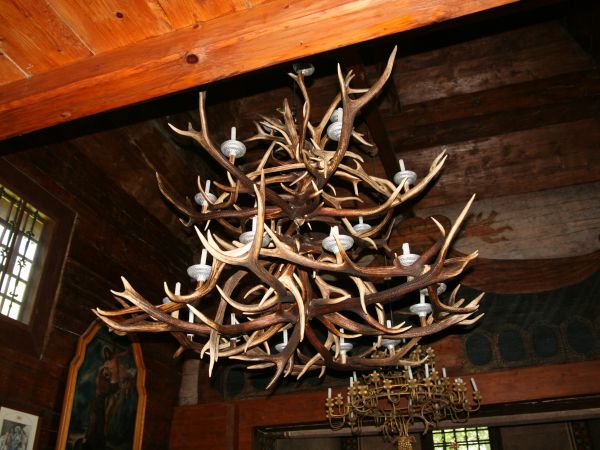 Okazały żyrandol wykonany z rzutów jeleniego poroża.