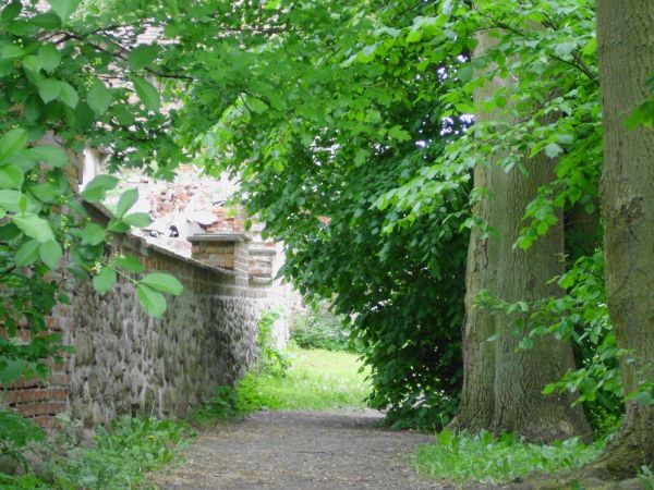 Droga wzdłuż Krępy