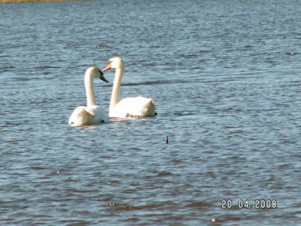 zdjecie Gardna Wielka