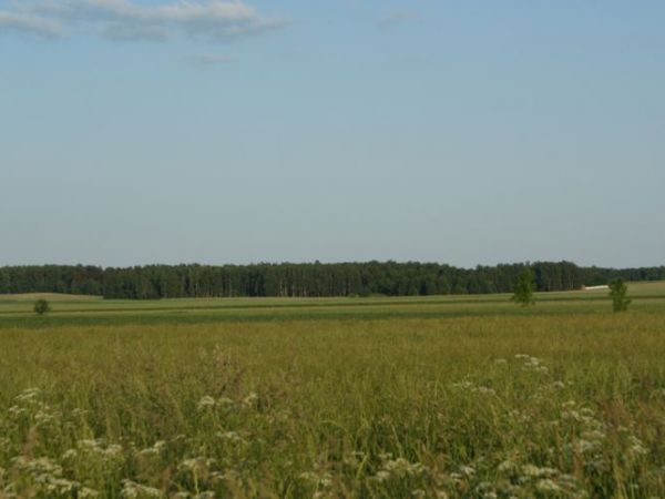 zdjecie Kołaki Wielkie