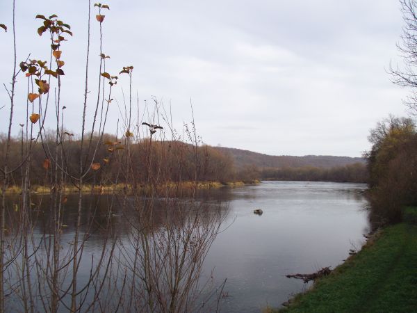 rzeka San - od m. Zwierzyń /jest galeria - zapraszam/.