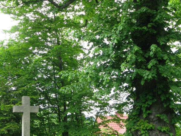 na przycerkiewnym cmentarzu, w 2008 roku cmentarz oczyszczono. Przed wejściem wyremontowano pokaźne kamienne krzyże nagrobne XIX wiecznych właścicieli tutejszeg