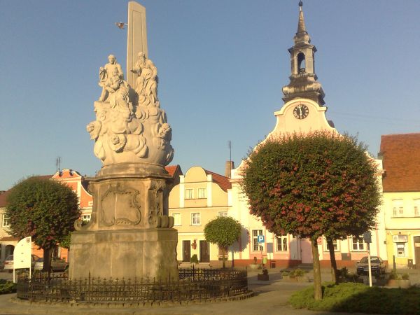 Rynek w Rydzynie z kolumną wotywną św. Trójcy i ratuszem