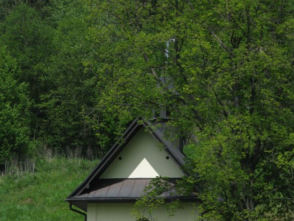 zdjecie Żernica Wyżna