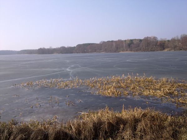 Ostatnie godziny pejzażu zimowego nad jeziorem w Szczekarzewie