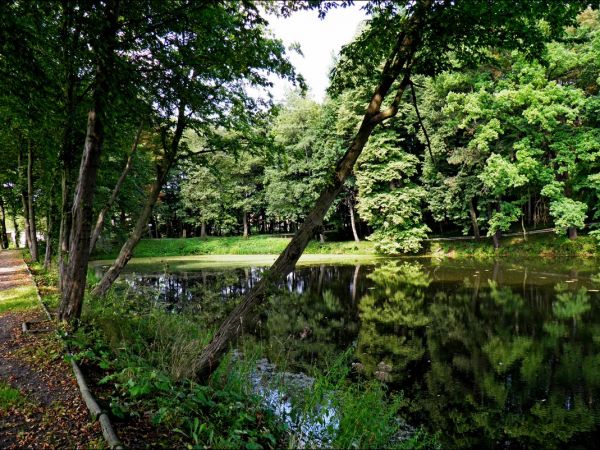 Dwór Szlachecki z końca XIX wieku otoczony parkiem krajobrazowym i stawem. Do 1945 roku należał do rodziny hrabiów Łastowieckich.