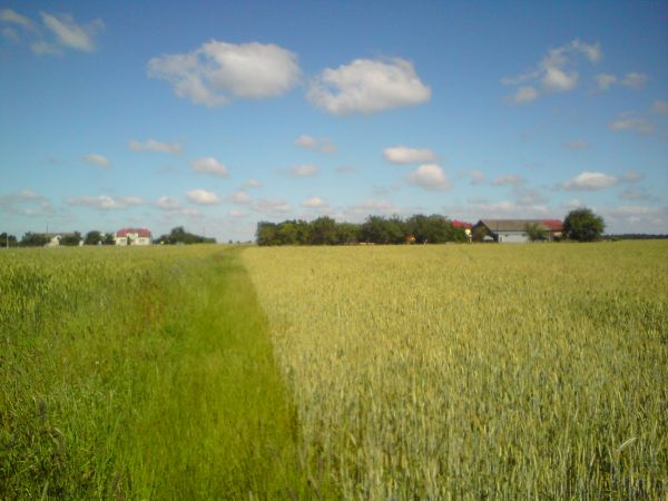 Panorama od strony wschodniej
