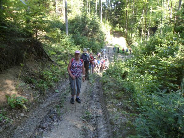 tu etap na : "Szlaku starej osady za lasem" podczas "wyprawy odkrywców".