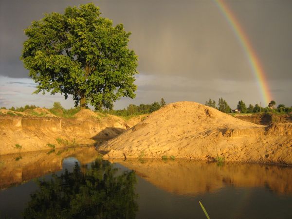 Wyrazów - okoliczne pola.
