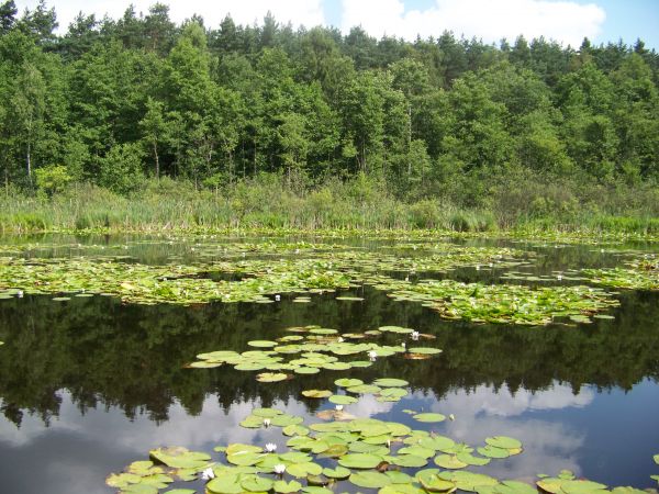 Urokliwe miejsce na spokojny wypoczynek