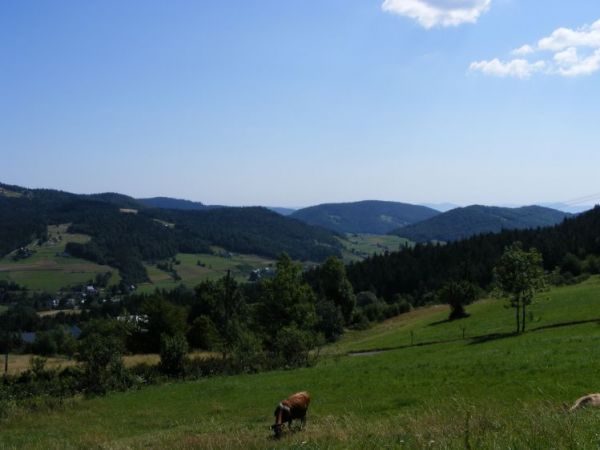 Widok z Cisowego Dziołu