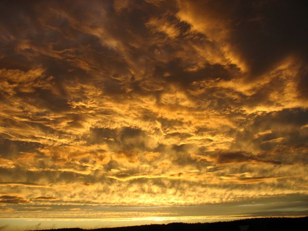 Jesienne niebo nad Wierzchlesiem