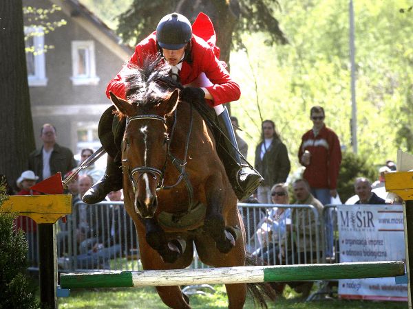 Zawody Jeździeckie na Zamku Kliczków
