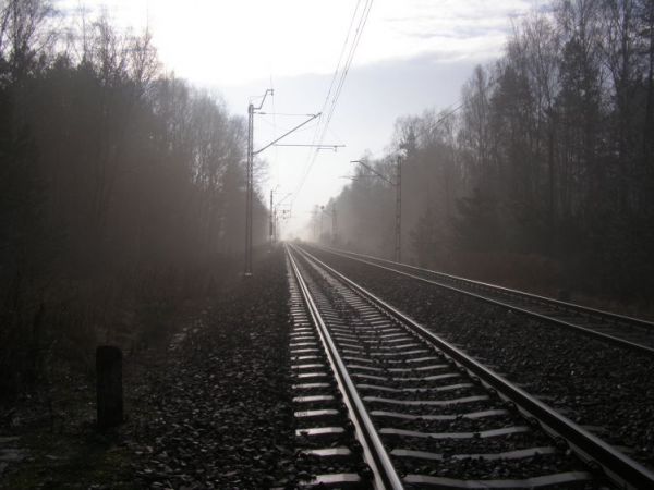 zdjecie Zalesie Górne