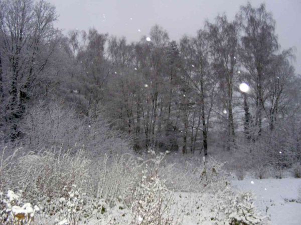 zdjecie Będzieszewo