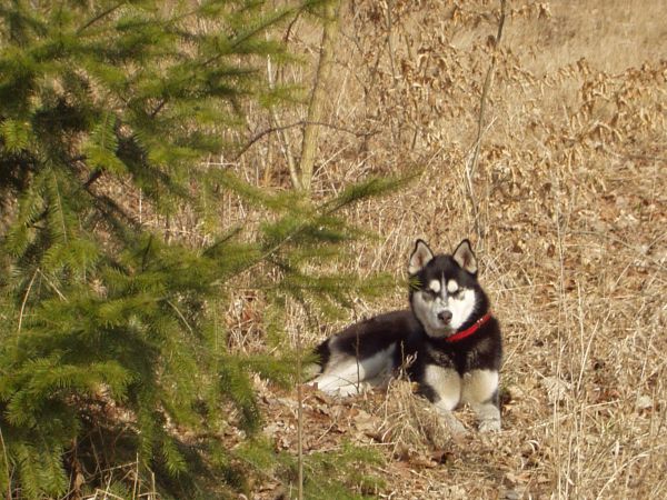 Zatrzymaliśmy się tylko na chwile, myślałem, że razem wrócimy do domu.