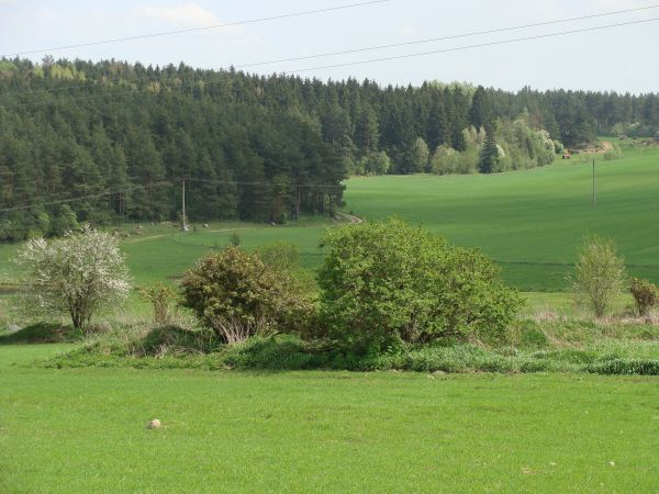 Wiosna w Makowlanach