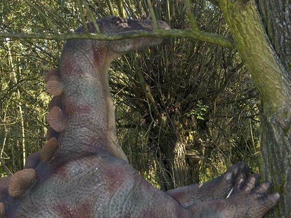 Zator-Park Ruchomych Dinozaurów "DinozatorLand"