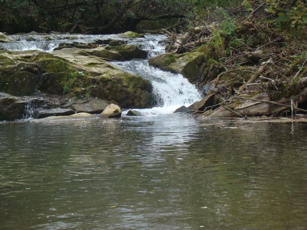 Pomnik przyrody: "Wodospad na rzece Olszance", w kwietniu ryby na tarło zmierzające podglądać warto !