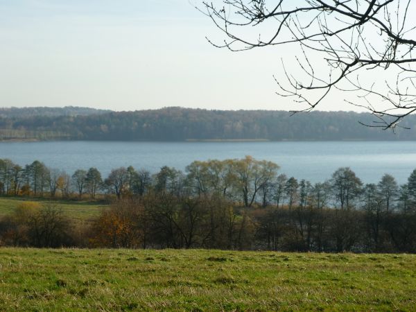 zdjecie Polska Wieś