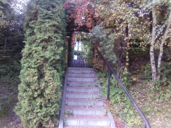 Widok z ulicy Gdańskiej