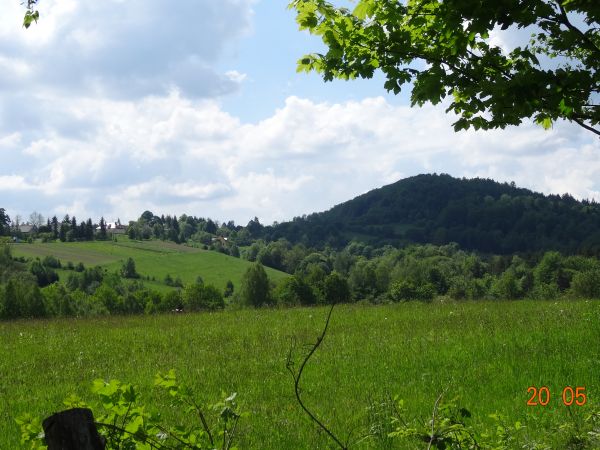 wzgórze z pasma Markowskiej - a za nim m. Rybne i m. Wołkowyja.