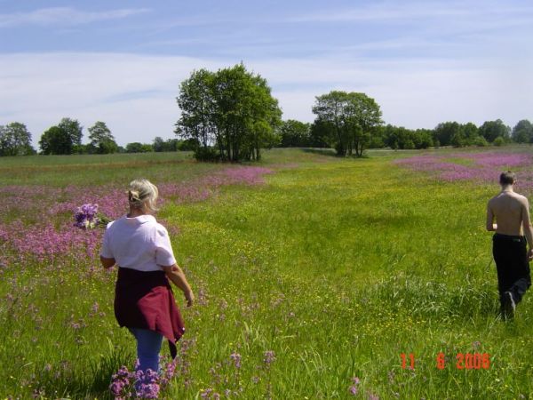 Zdjęcia Sokołowo Włościańskie