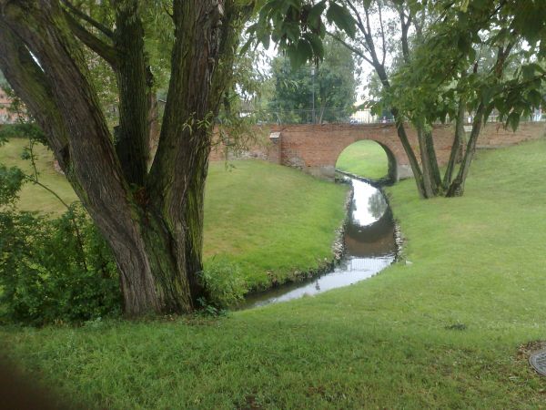 Widok z Parku  Anny Wazówny na most do zamku.