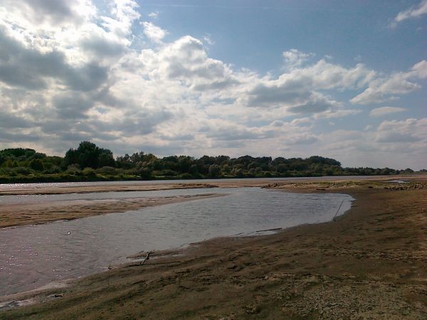 Panorama Wisły -ostatnia naturalna  wielka rzeka Europy