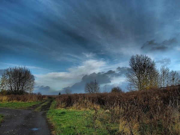 Czeladź. Za miastem