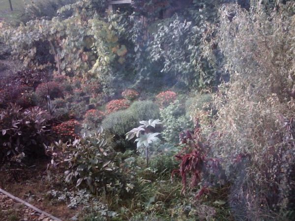 zdjecie Stare Kaliszany