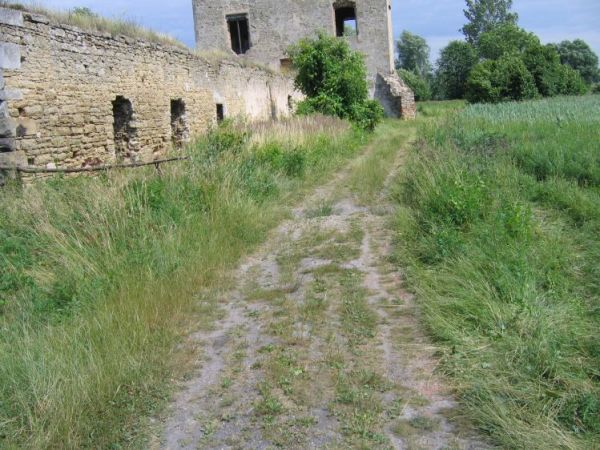 Ruiny XVI-wiecznego zamku Krzysztofa Szydłowieckiego na Kępie wśród rozlewisk Kamiennej.