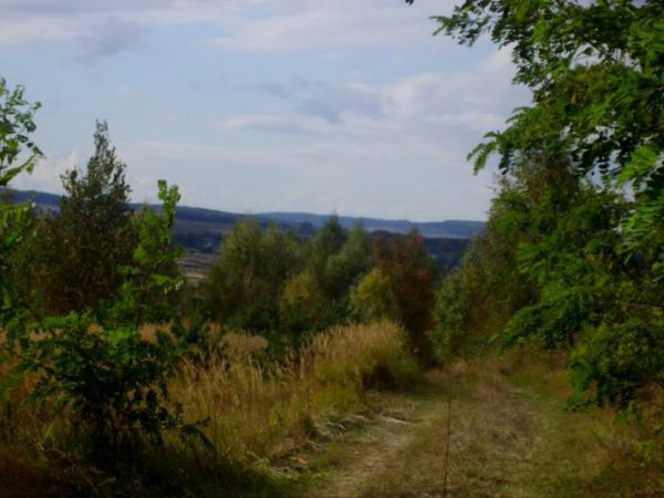 Krasnystaw-Przedmieście Zastawie; widok na Wyniosłość Giełczewską