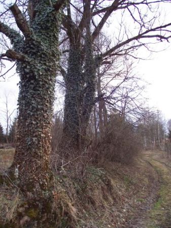 zdjecie Bandrów Narodowy